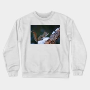 Red Squirrel Crewneck Sweatshirt